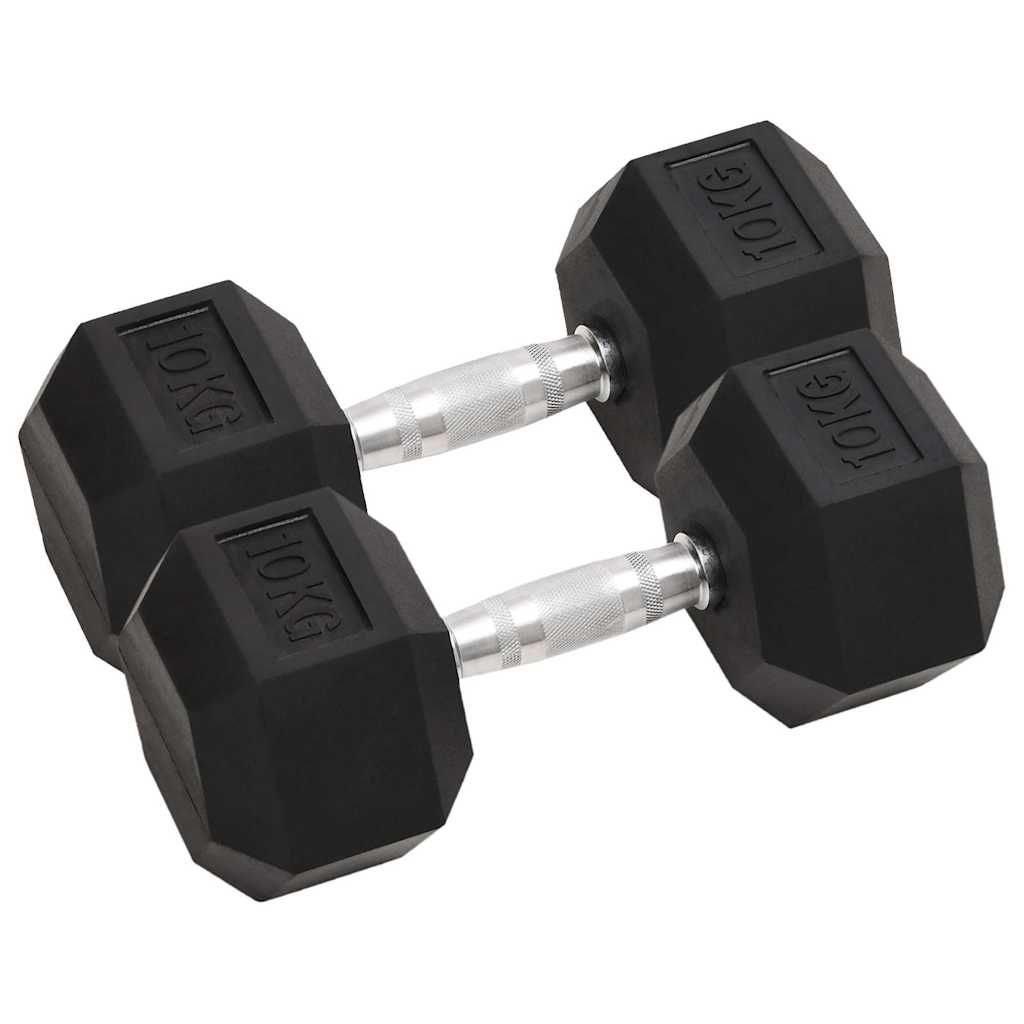 vidaXL Käsipainot 2 kpl 10 kg